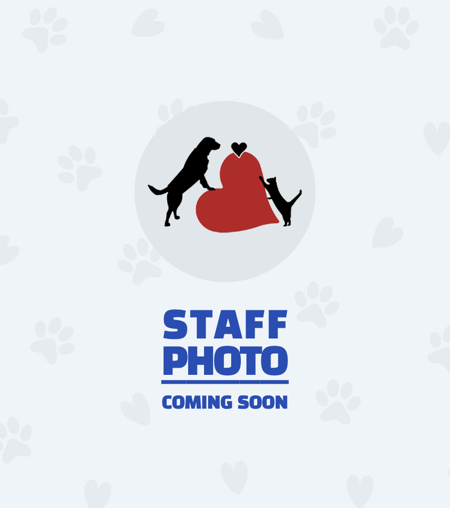 April, Veterinary Assistant