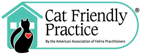 Cat Friendly Practice 