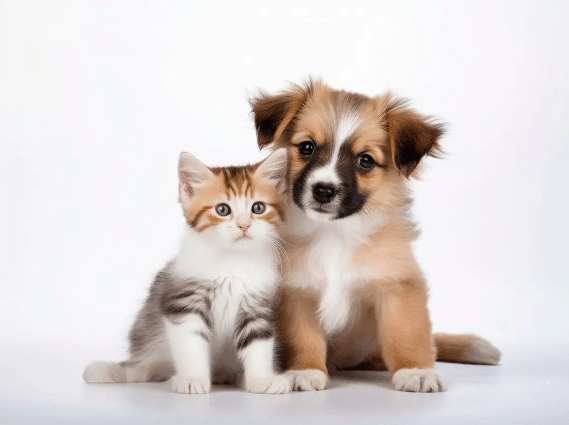 homebanner