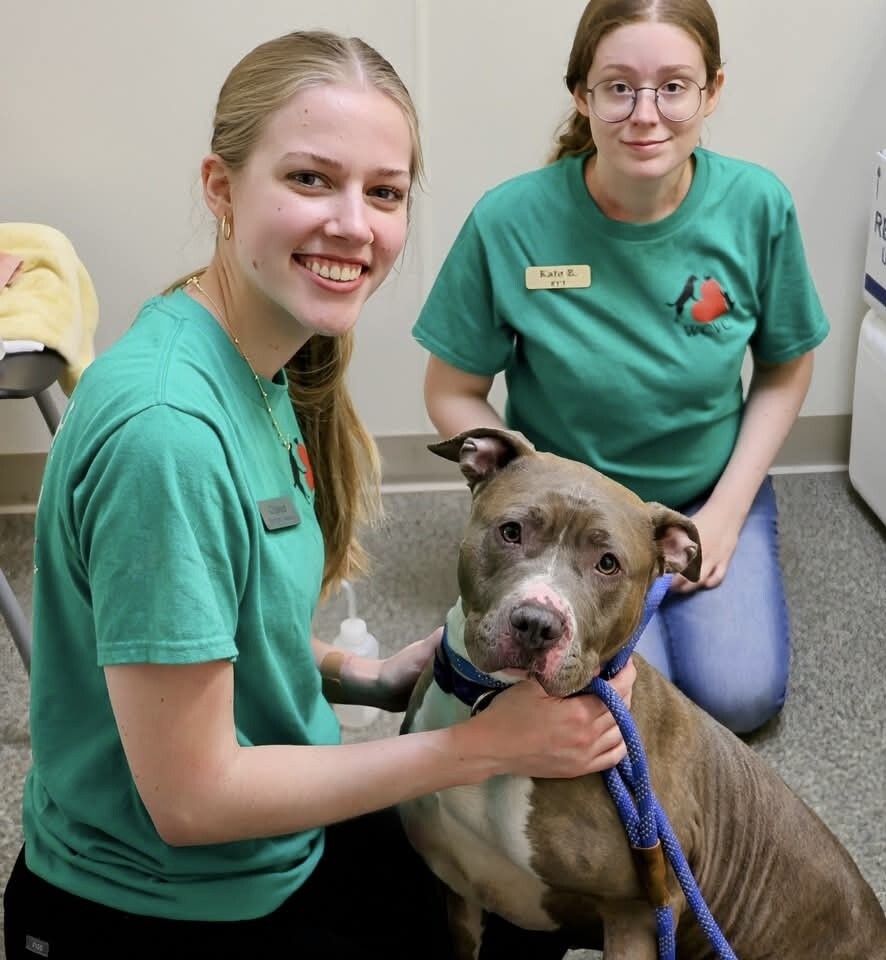 cassie-and-kate-with-dog--volunteer-event