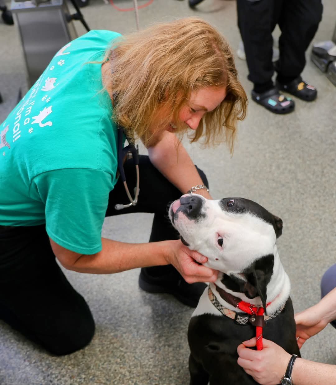 dr-hellard-with-dog--volunteer-event