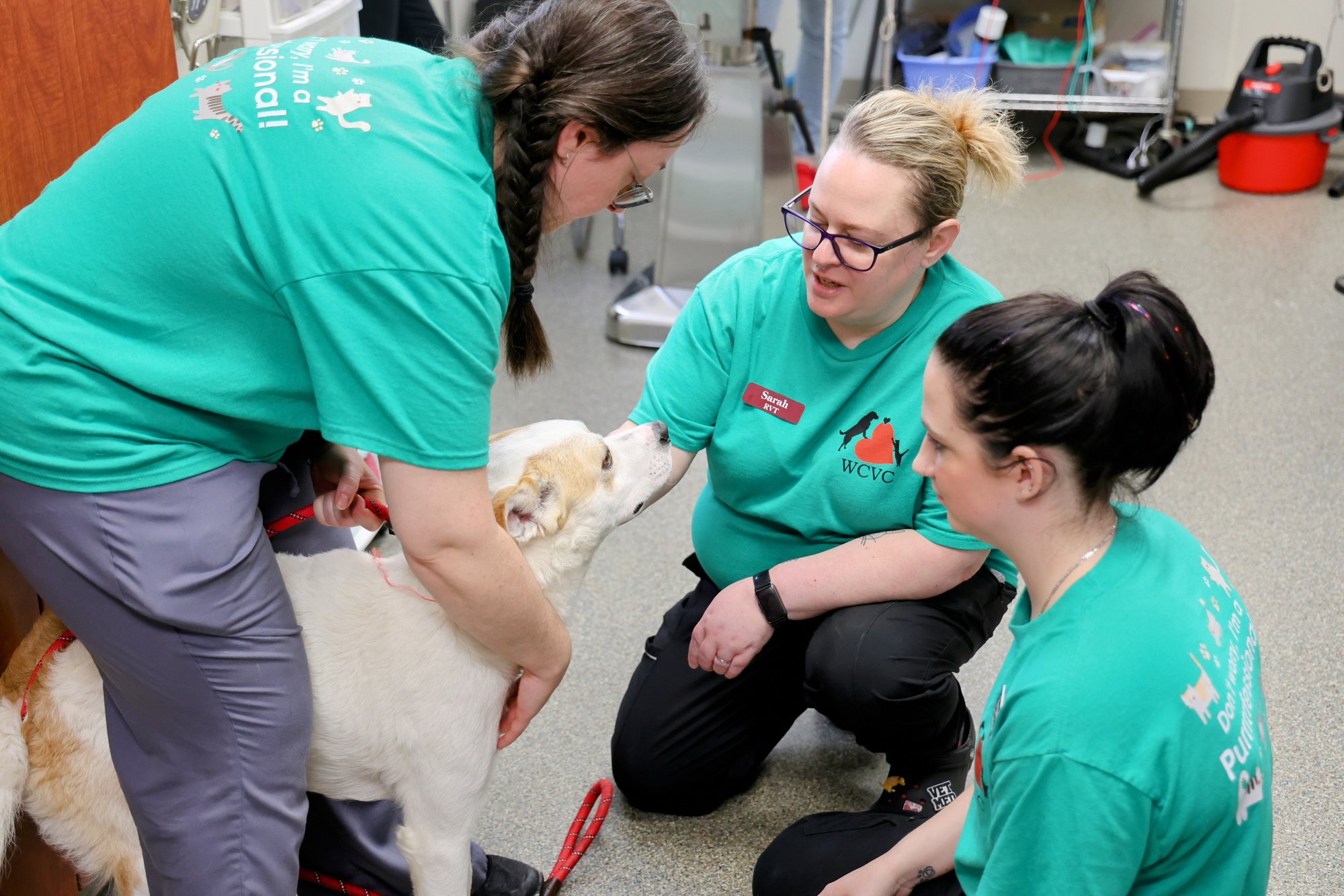vet-techs-with-dog--volunteer-event