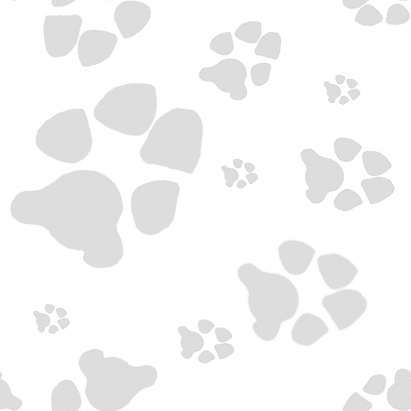 Paw prints