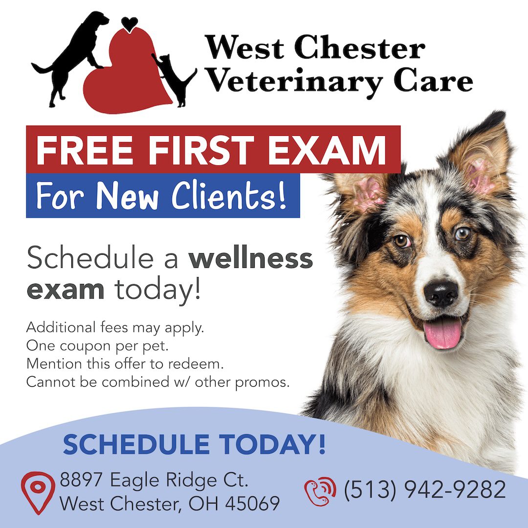 1166 Vp Wch Freeexamsocial V1 1