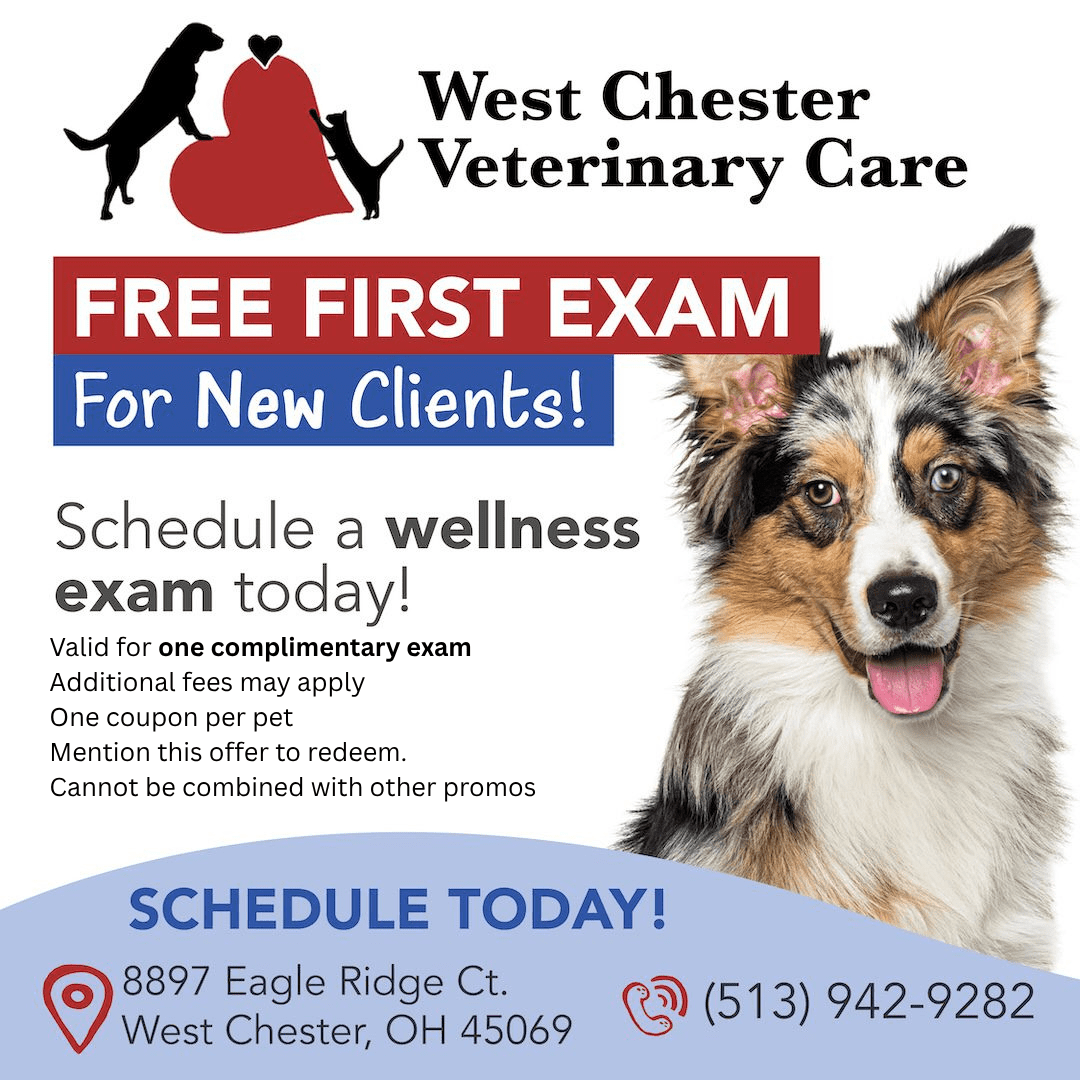 Valid For One Complimentary Exam Additional Fees May Apply One Coupon Per Pet Mention This Offer To Redeem. Cannot Be Combinec With Other Promos Expires 61226