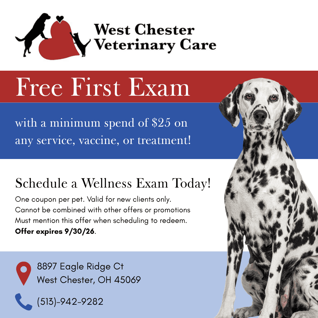 West Chester Pop Up