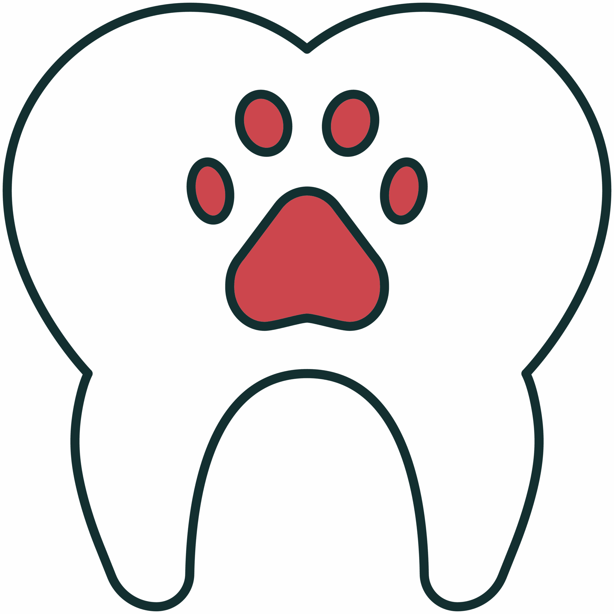 Tooth Icon Scaled