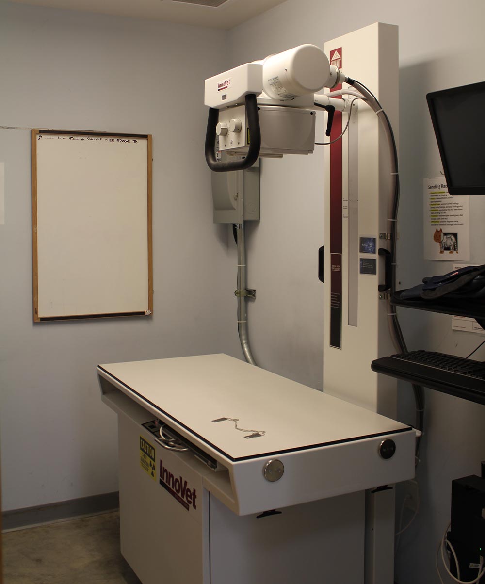x-ray machine for cats and dogs