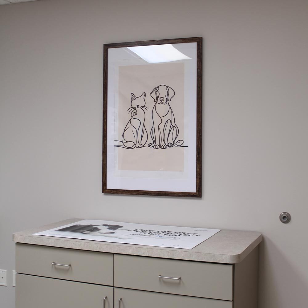 exam table with cabinets against wall with single line artwork of cat and dog frames
