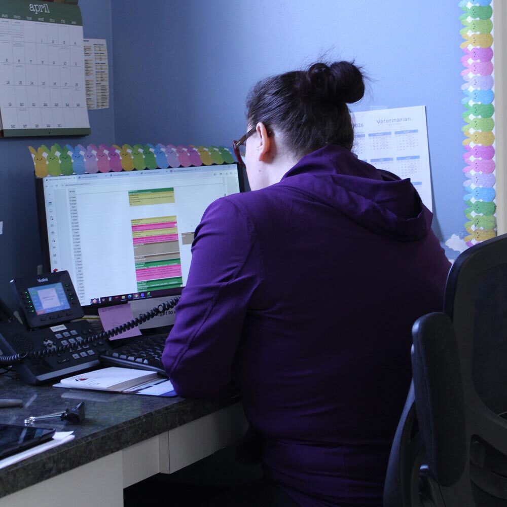 female staff member with back turned sitting at desk with computer while using telephone