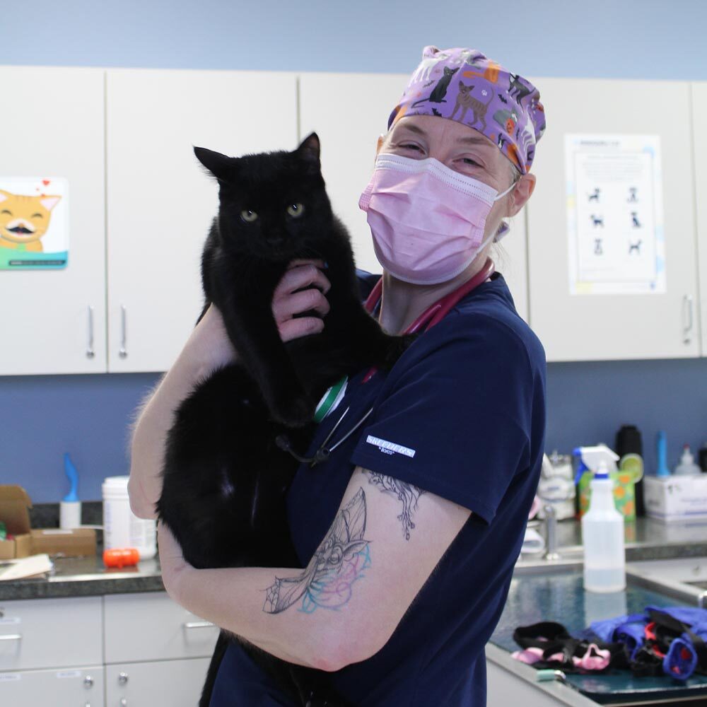 staff member smiling while wearing purple scrub cap with cat and dog pattern and mask holding black cat