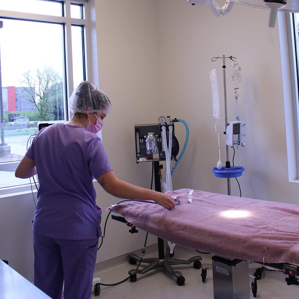 female staff member prepping operating room before surgery
