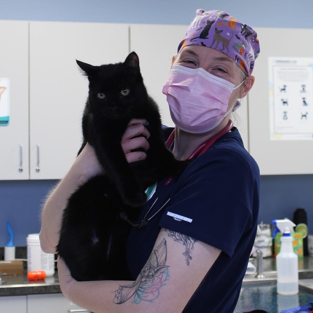 staff member wearing purple scrub cap with cat and dog pattern and mask holding black cat