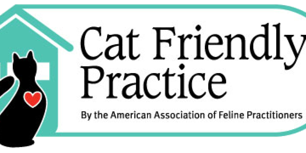 Cat Friendly Practice